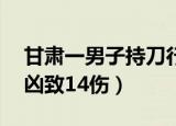 甘肃一男子持刀行凶致8死7伤（男子持棍行凶致14伤）