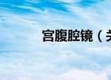 宫腹腔镜（关于宫腹腔镜介绍）