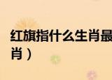 红旗指什么生肖最佳答案（红旗杆杆是什么生肖）