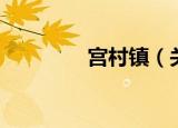 宫村镇（关于宫村镇介绍）