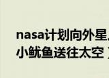 nasa计划向外星人发信号（NASA将128只小鱿鱼送往太空）