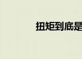 扭矩到底是什么意思（扭矩）