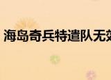 海岛奇兵特遣队无效描述（海岛奇兵特遣队）