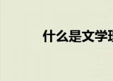 什么是文学理论（什么是文学）