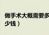 做手术大概需要多少费用（做手术大概需要多少钱）