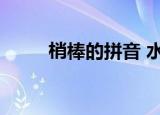 梢棒的拼音 水浒传（梢棒的拼音）