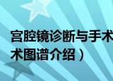 宫腔镜诊断与手术图谱（关于宫腔镜诊断与手术图谱介绍）