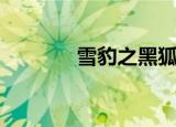雪豹之黑狐突击队（雪豹之）