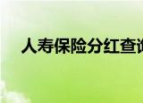 人寿保险分红查询（人寿保险分红查询）