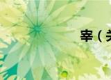 宰（关于宰介绍）