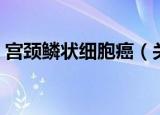 宫颈鳞状细胞癌（关于宫颈鳞状细胞癌介绍）