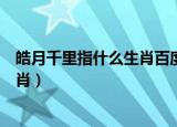 皓月千里指什么生肖百度知道打一数字（皓月千里指什么生肖）