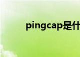 pingcap是什么公司（Pingcap）