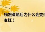 螃蟹煮熟后为什么会变红色什么生肖（螃蟹煮熟后为什么会变红）