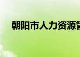 朝阳市人力资源管理局（朝阳区人事局）