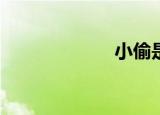 小偷是什么意思？