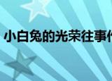 小白兔的光荣往事作者（小白兔的光荣往事）