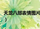 天龙八部表情图片大全（天龙八部系统表情包）
