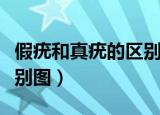 假疣和真疣的区别图片大全（假疣和真疣的区别图）
