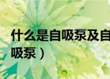 什么是自吸泵及自吸泵工作原理图（什么是自吸泵）