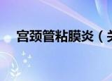 宫颈管粘膜炎（关于宫颈管粘膜炎介绍）