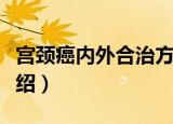 宫颈癌内外合治方（关于宫颈癌内外合治方介绍）