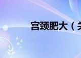 宫颈肥大（关于宫颈肥大介绍）