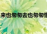 来也匆匆去也匆匆恨不能相逢是什么歌的歌词