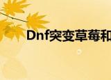 Dnf突变草莓和突变（dnf突变草莓）