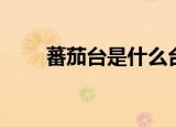 蕃茄台是什么台（番茄台是什么台）