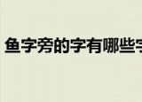 鱼字旁的字有哪些字（鸟字旁的字有哪些字）