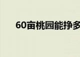 60亩桃园能挣多少钱（桃园怎么赚钱）