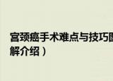 宫颈癌手术难点与技巧图解（关于宫颈癌手术难点与技巧图解介绍）