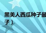 黑美人西瓜种子最好品种大全（黑美人西瓜种子）