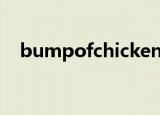 bumpofchicken猫（bumpofchicken）