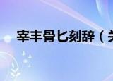 宰丰骨匕刻辞（关于宰丰骨匕刻辞介绍）
