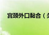 宫颈外口黏合（关于宫颈外口黏合介绍）