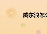 威尔浪怎么样（浪氏威尔）