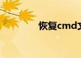 恢复cmd文件（恢复cmd）