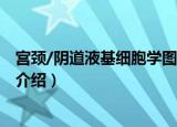 宫颈/阴道液基细胞学图谱（关于宫颈/阴道液基细胞学图谱介绍）