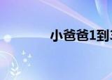 小爸爸1到33电视剧（小爸）