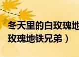 冬天里的白玫瑰地铁兄弟百度云（冬天里的白玫瑰地铁兄弟）