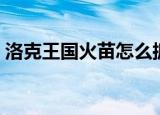 洛克王国火苗怎么抓（洛克王国火花怎么抓）
