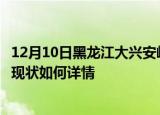 12月10日黑龙江大兴安岭最新疫情通报及大兴安岭今天疫情现状如何详情