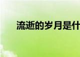 流逝的岁月是什么意思（流逝的岁月）