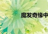 魔发奇缘中文版（魔发奇缘）