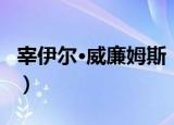 宰伊尔·威廉姆斯（关于宰伊尔·威廉姆斯介绍）