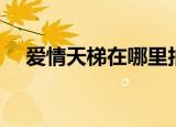 爱情天梯在哪里拍的（爱情天梯在哪里）