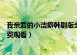 我亲爱的小洁癖韩剧版全集解说（我亲爱的小洁癖电视剧免费观看）