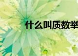 什么叫质数举例子（什么叫质数）